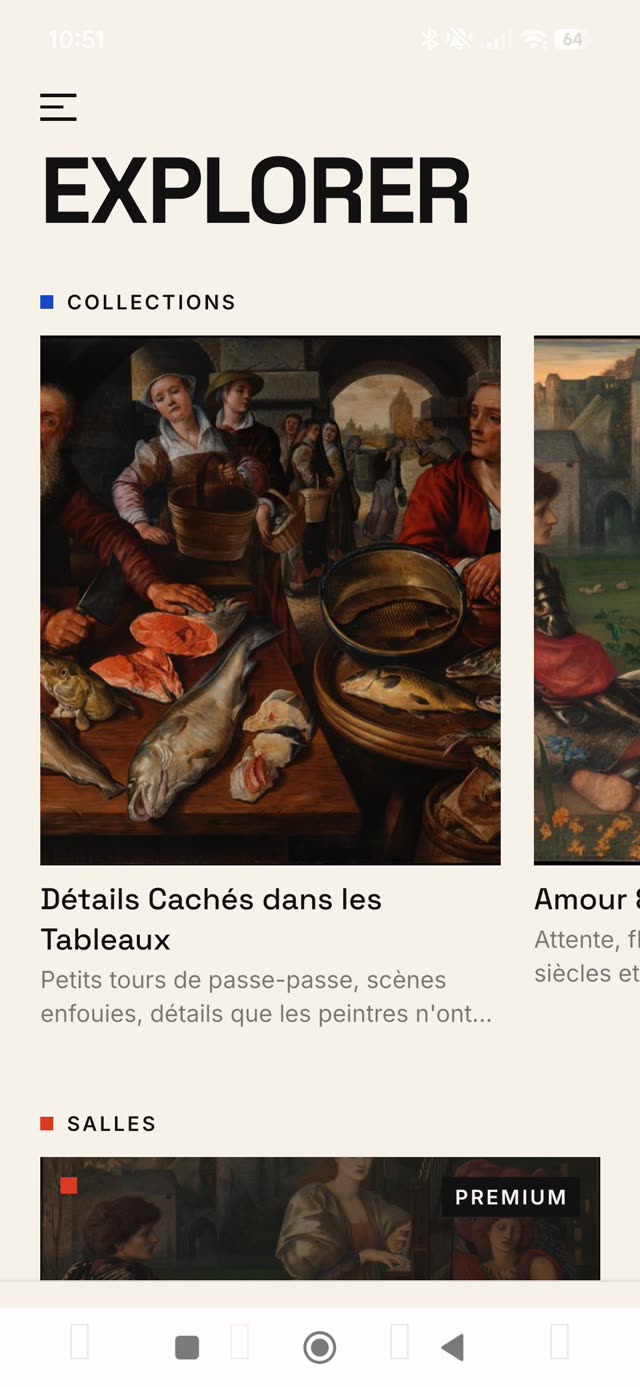 Capture d'écran de l'onglet Explorer de Tiny Detail, avec les collections et les salles thématiques.