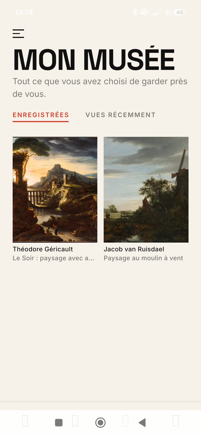Capture d'écran de l'onglet Mon Musée dans Tiny Detail, avec les œuvres enregistrées.